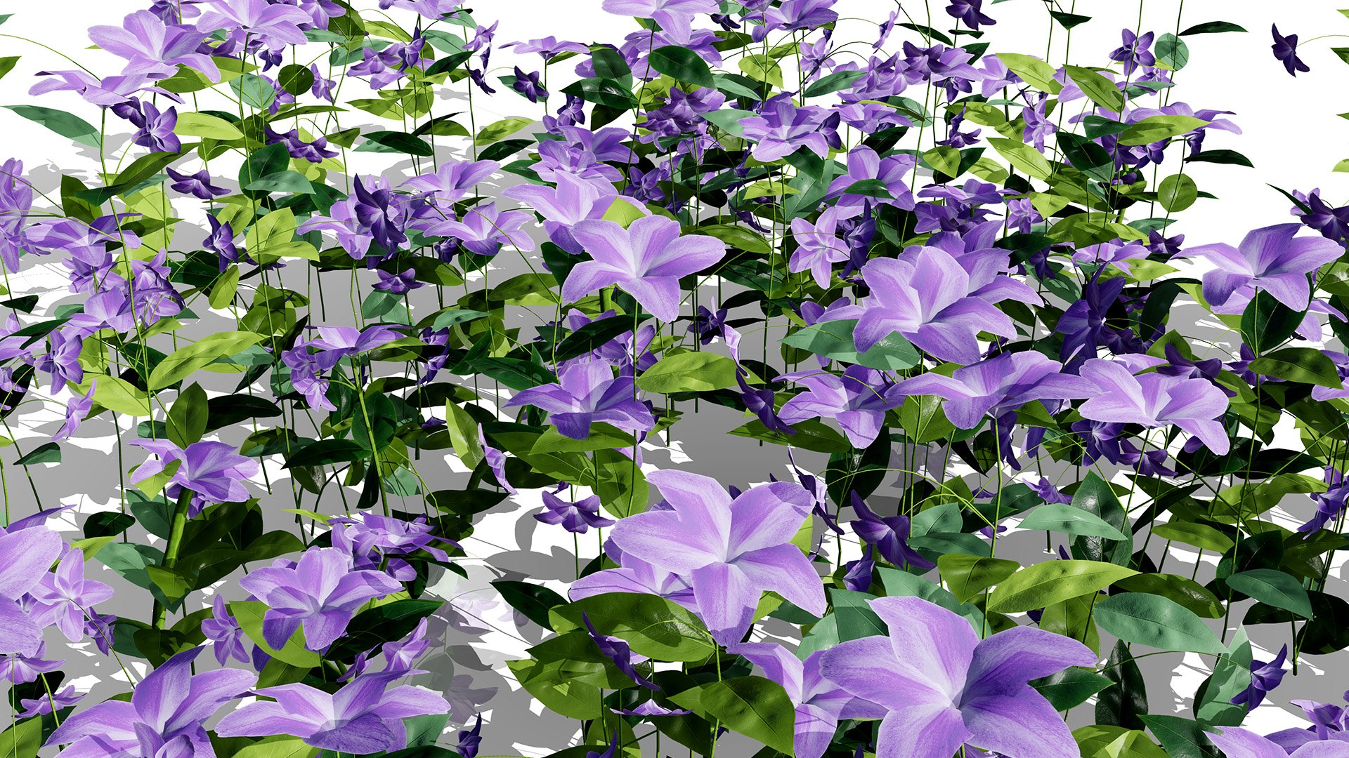 Photorealistic Vinca Minor Plant Collection 3D model https://p.turbosquid.com/ts-thumb/sr/PNCSXz/KK/vincaminorz54dsal/jpg/1774220986/1920x1080/fit_q87/f61d4dc349822753b5a71a78cf1e4318db77dcce/vincaminorz54dsal.jpg