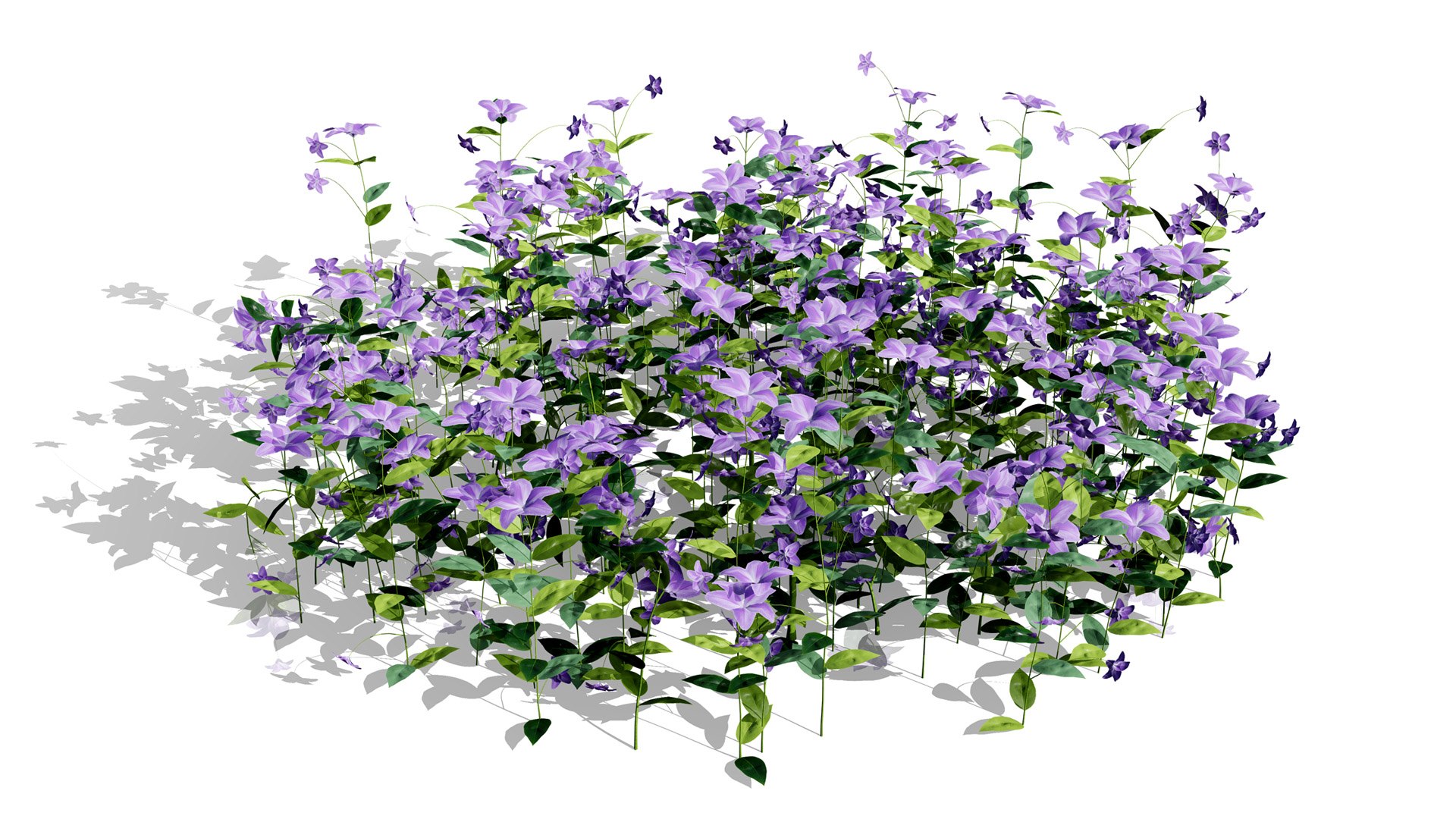 Photorealistic Vinca Minor Plant Collection 3D model https://p.turbosquid.com/ts-thumb/sr/PNCSXz/VO/vincaminorl/jpg/1774220977/1920x1080/fit_q87/aee1f7b8beb135f09109dc1a8179b599e30c0e5d/vincaminorl.jpg