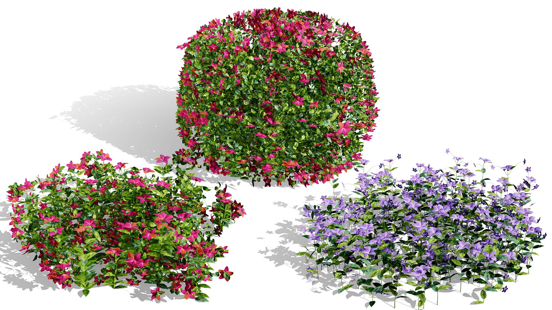 Photorealistic Vinca Minor Plant Collection 3D model https://p.turbosquid.com/ts-thumb/sr/PNCSXz/Yc/00artcovervincaminorvariation232/jpg/1774220976/1920x1080/fit_q87/24b0a822caff1b0453832120ac75fbaa86fe8a49/00artcovervincaminorvariation232.jpg