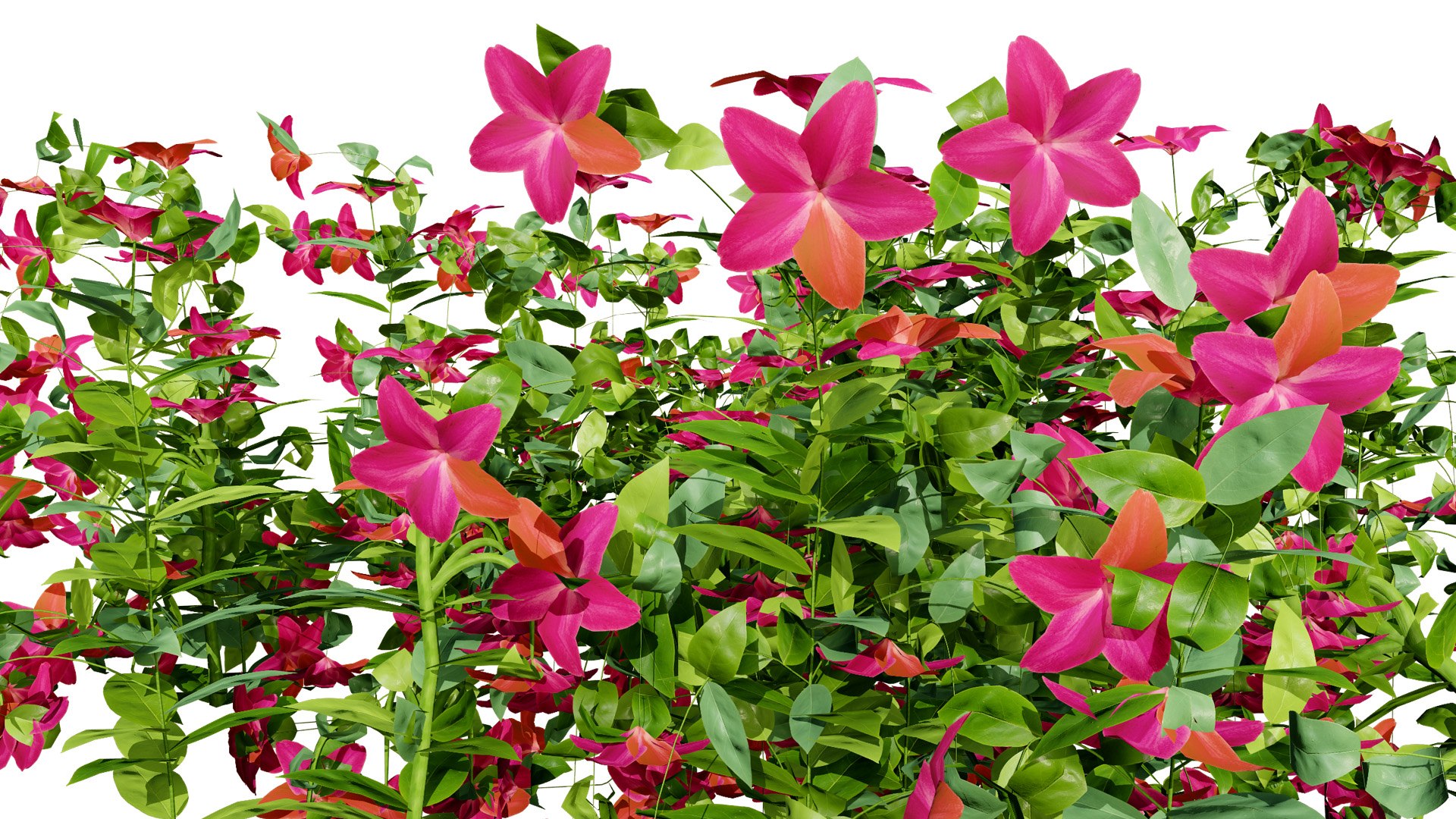 Photorealistic Vinca Minor Plant Collection 3D model https://p.turbosquid.com/ts-thumb/sr/PNCSXz/fu/vincaminorvariation32l/jpg/1774220979/1920x1080/fit_q87/f011e067a67d0c147fec7ea931c4bf97a4f71cec/vincaminorvariation32l.jpg