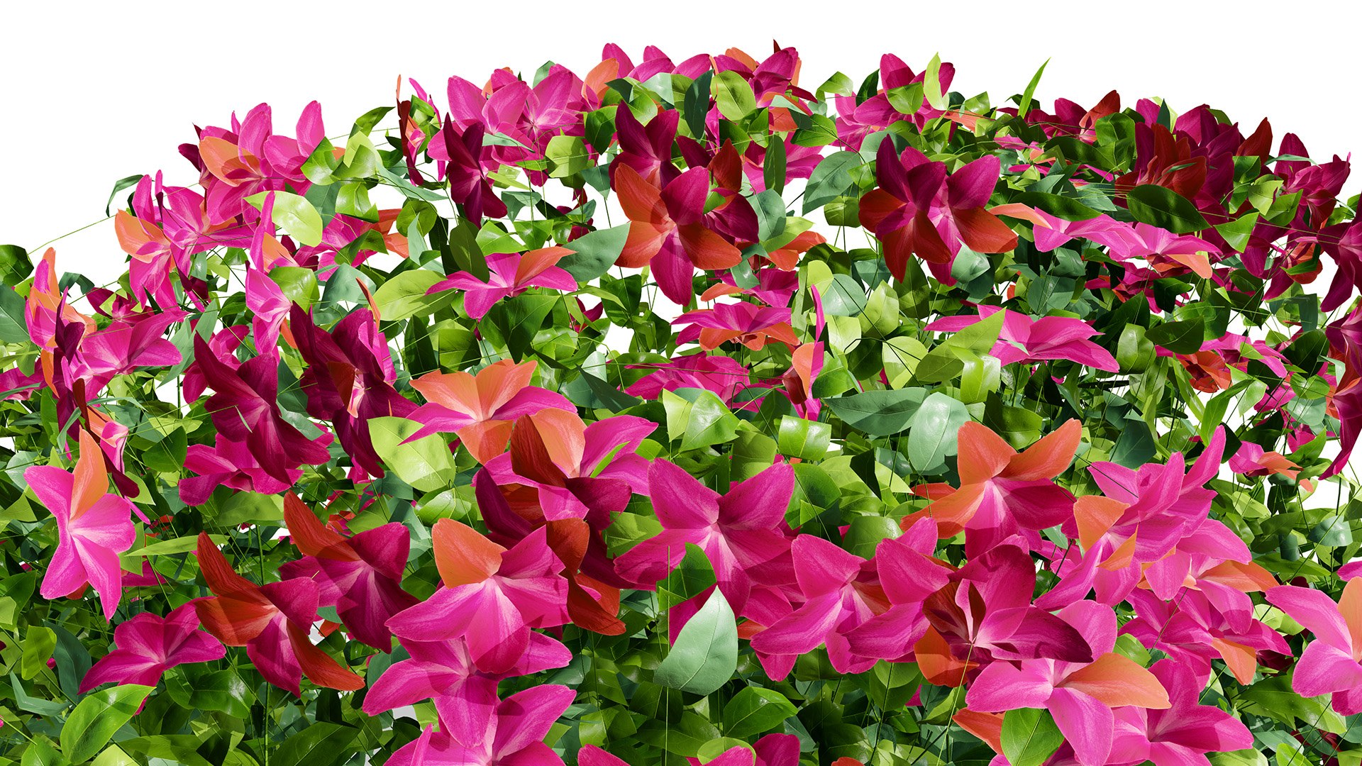 Photorealistic Vinca Minor Plant Collection 3D model https://p.turbosquid.com/ts-thumb/sr/PNCSXz/rk/vincaminorvariation2ds54l/jpg/1774220980/1920x1080/fit_q87/f28b89d0c0c2603b21d057e2cffb49c80d06fead/vincaminorvariation2ds54l.jpg