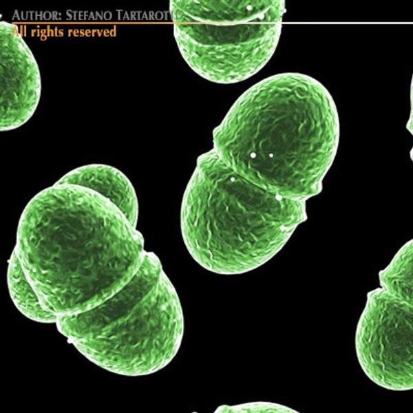 3d microscope cells bacteria virus model