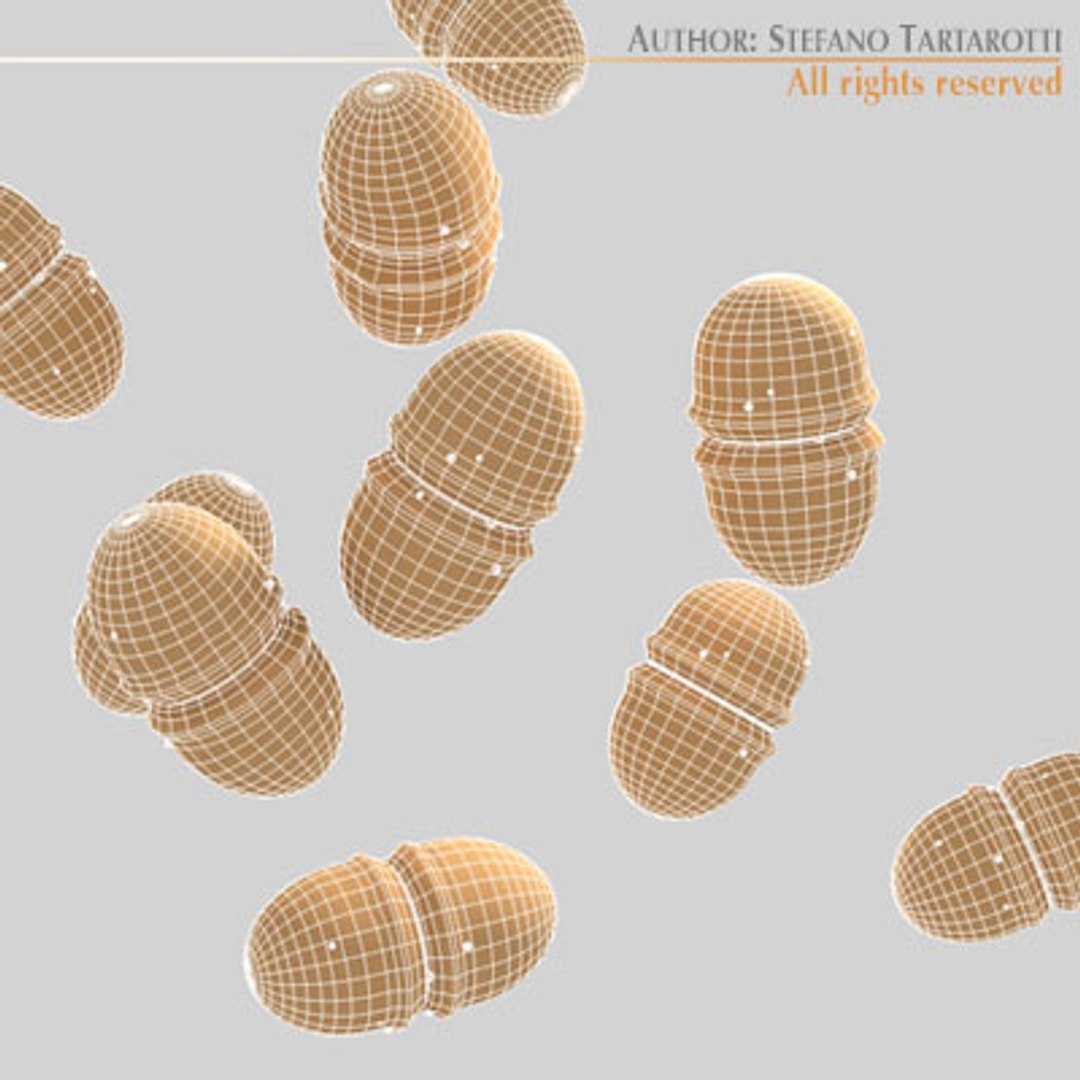 3d enterococcus bacterium model https://p.turbosquid.com/ts-thumb/sr/TmEhl8/qN3TBG8m/enterococcus4/jpg/1278600876/1920x1080/fit_q87/05ade9c970329f2016497ffd13adb7f39b4da9ca/enterococcus4.jpg