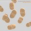 Enterococcus