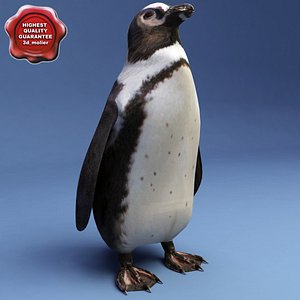 penguin modelled 3d model