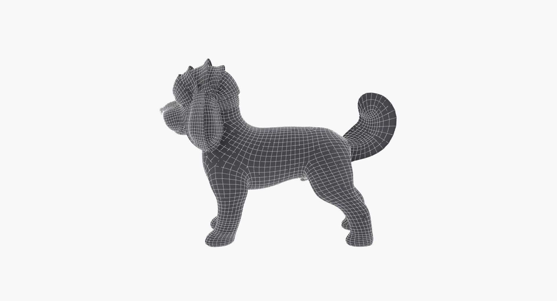 Poodle Dog Max