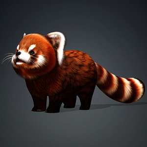3D model Red Panda-A2