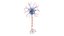 Neuron