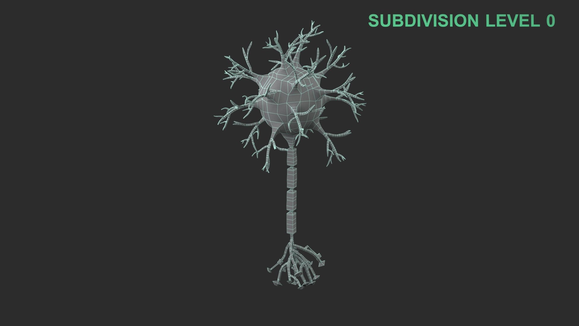 Neuron 3D model https://p.turbosquid.com/ts-thumb/sr/fQlV2R/rD/wireframe_0008/jpg/1753939197/1920x1080/fit_q87/1bde6c58bdb0743d967accc75e2552b6ec9090d6/wireframe_0008.jpg