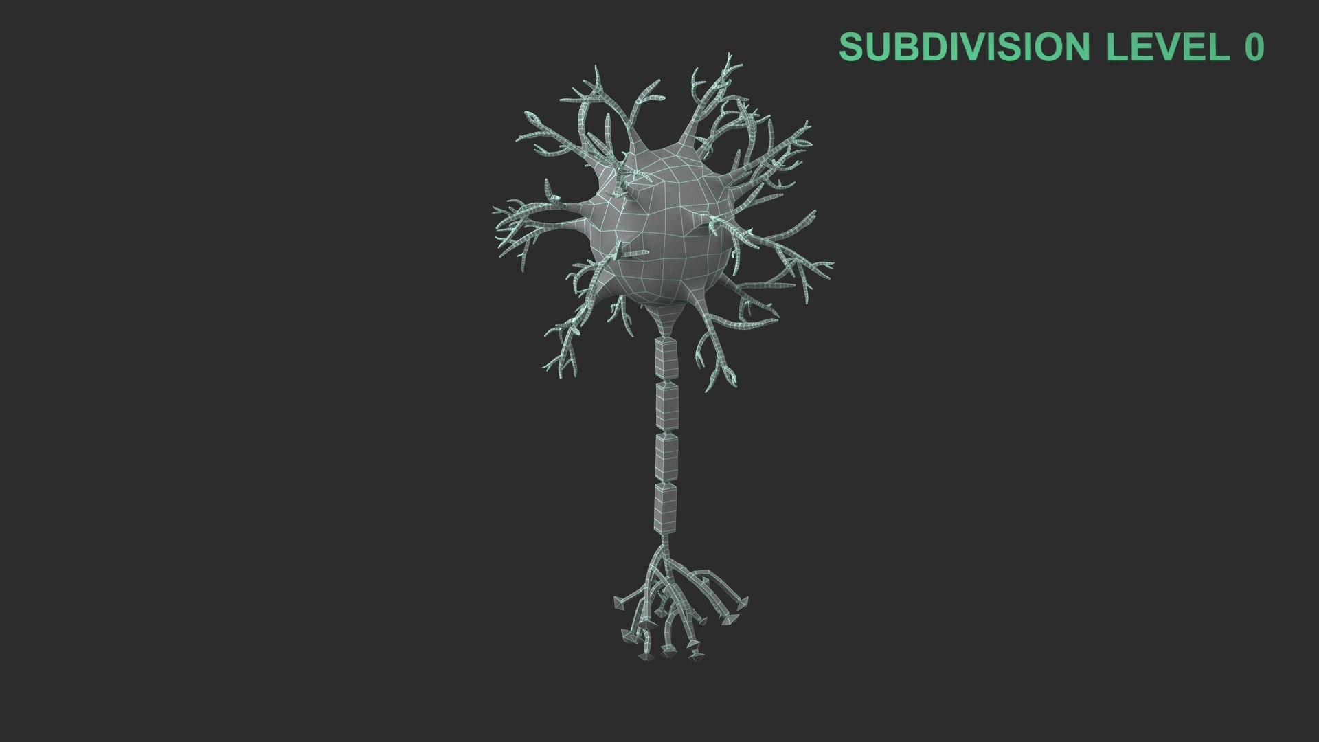 Neuron 3D model https://p.turbosquid.com/ts-thumb/sr/fQlV2R/sG/wireframe_0007/jpg/1753939197/1920x1080/fit_q87/9eb85c5bb66f857cbe481cd3162ff0f8b09a4021/wireframe_0007.jpg