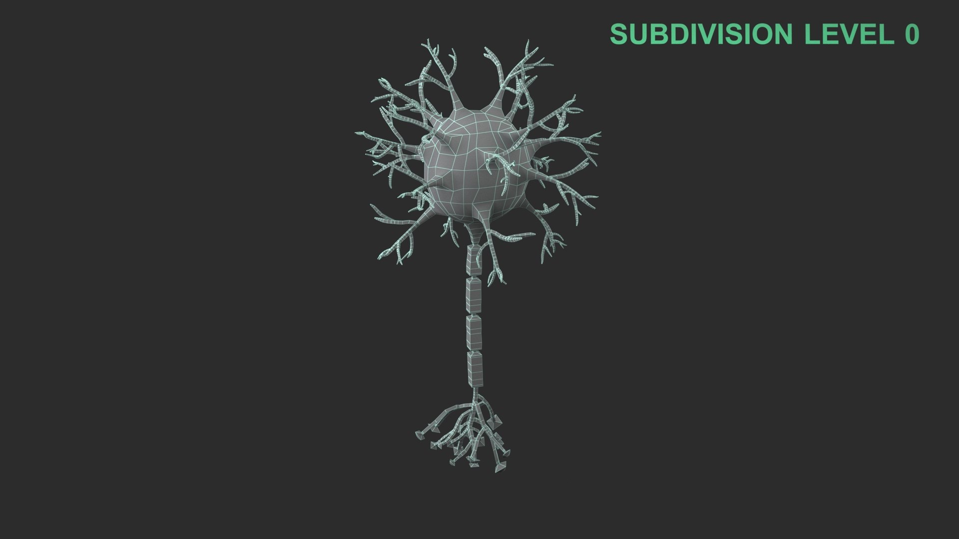 Neuron 3D model https://p.turbosquid.com/ts-thumb/sr/fQlV2R/zF/wireframe_0009/jpg/1753939198/1920x1080/fit_q87/87ba5e457a88b8b406240eac1a13b7adc8192e73/wireframe_0009.jpg