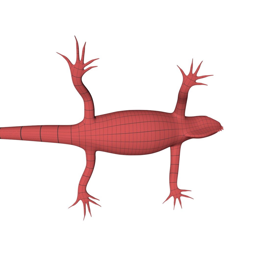 Base Mesh Iguana Lizard Obj