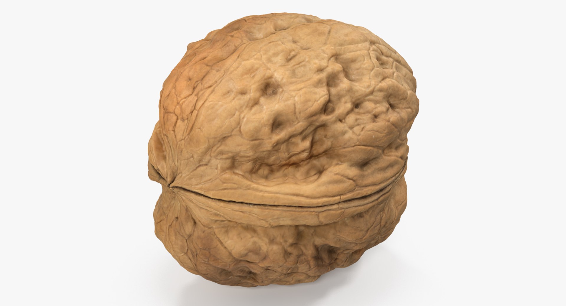 3D Seeds Collection 4 model https://p.turbosquid.com/ts-thumb/ss/Dw8RxP/EAZcNaSM/walnutc4dmodel001/jpg/1789248885/1920x1080/fit_q87/0c9cfca36f1e0dad4be91fd5bdc3e955a1ea9361/walnutc4dmodel001.jpg