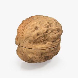 Walnut