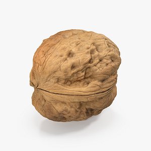 Walnut