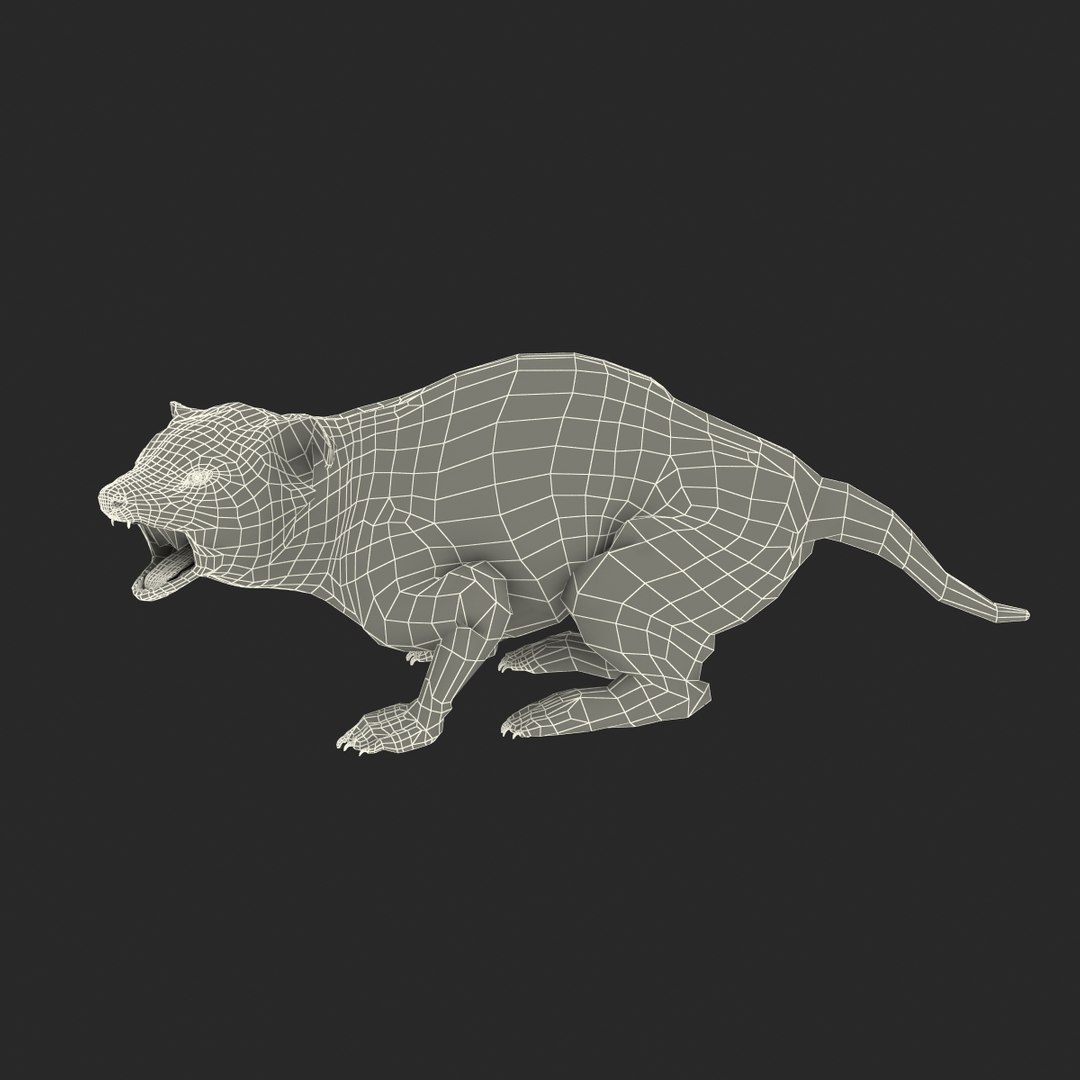 3d model tasmanian devil fur pose https://p.turbosquid.com/ts-thumb/ss/FOXsvV/01qyVedp/tasmaniandevilfurpose3_23/jpg/1384551882/1920x1080/fit_q87/d2004da7ac513218bdede9bf26ecdf5901455a04/tasmaniandevilfurpose3_23.jpg