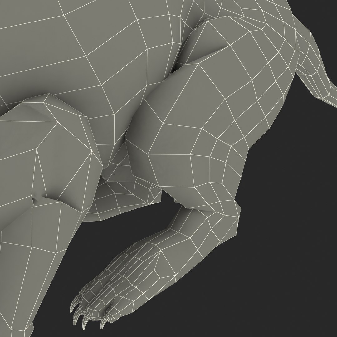 3d model tasmanian devil fur pose https://p.turbosquid.com/ts-thumb/ss/FOXsvV/54SLwvqT/tasmaniandevilfurpose3_32/jpg/1384551927/1920x1080/fit_q87/0e574ade8161f036edd95ae9cc7aaa9bfcbc0e56/tasmaniandevilfurpose3_32.jpg