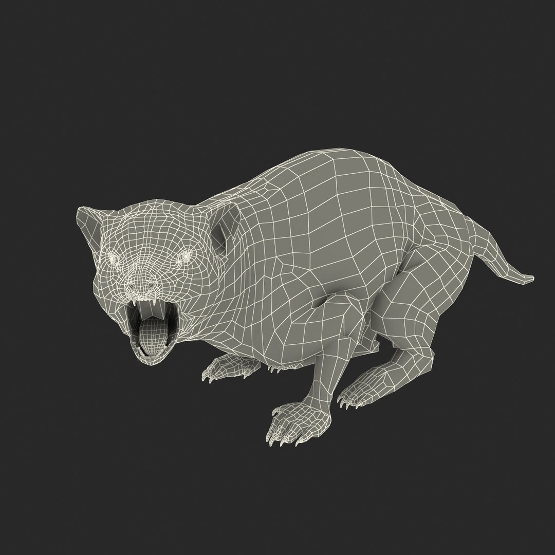 3d model tasmanian devil fur pose https://p.turbosquid.com/ts-thumb/ss/FOXsvV/GjBCXsr6/tasmaniandevilfurpose3_24/jpg/1384551895/1920x1080/fit_q87/cf943cb8df97803dd1584063551fff90650a50a3/tasmaniandevilfurpose3_24.jpg