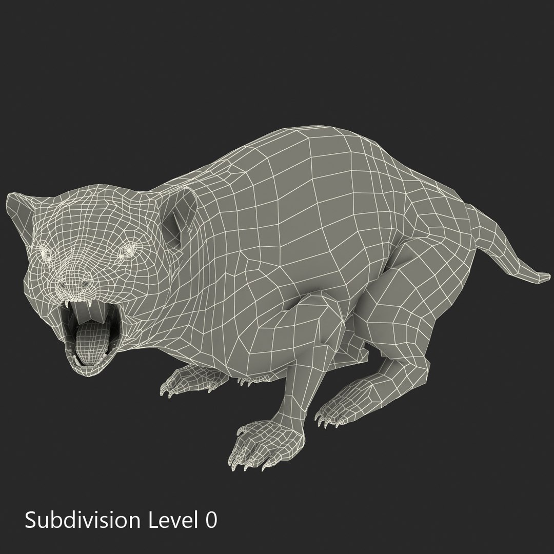 3d model tasmanian devil fur pose https://p.turbosquid.com/ts-thumb/ss/FOXsvV/GxopCoSo/tasmaniandevilfurpose3_8/jpg/1384551820/1920x1080/fit_q87/cae26a96aca27596409eaa9a3996716fda732d09/tasmaniandevilfurpose3_8.jpg