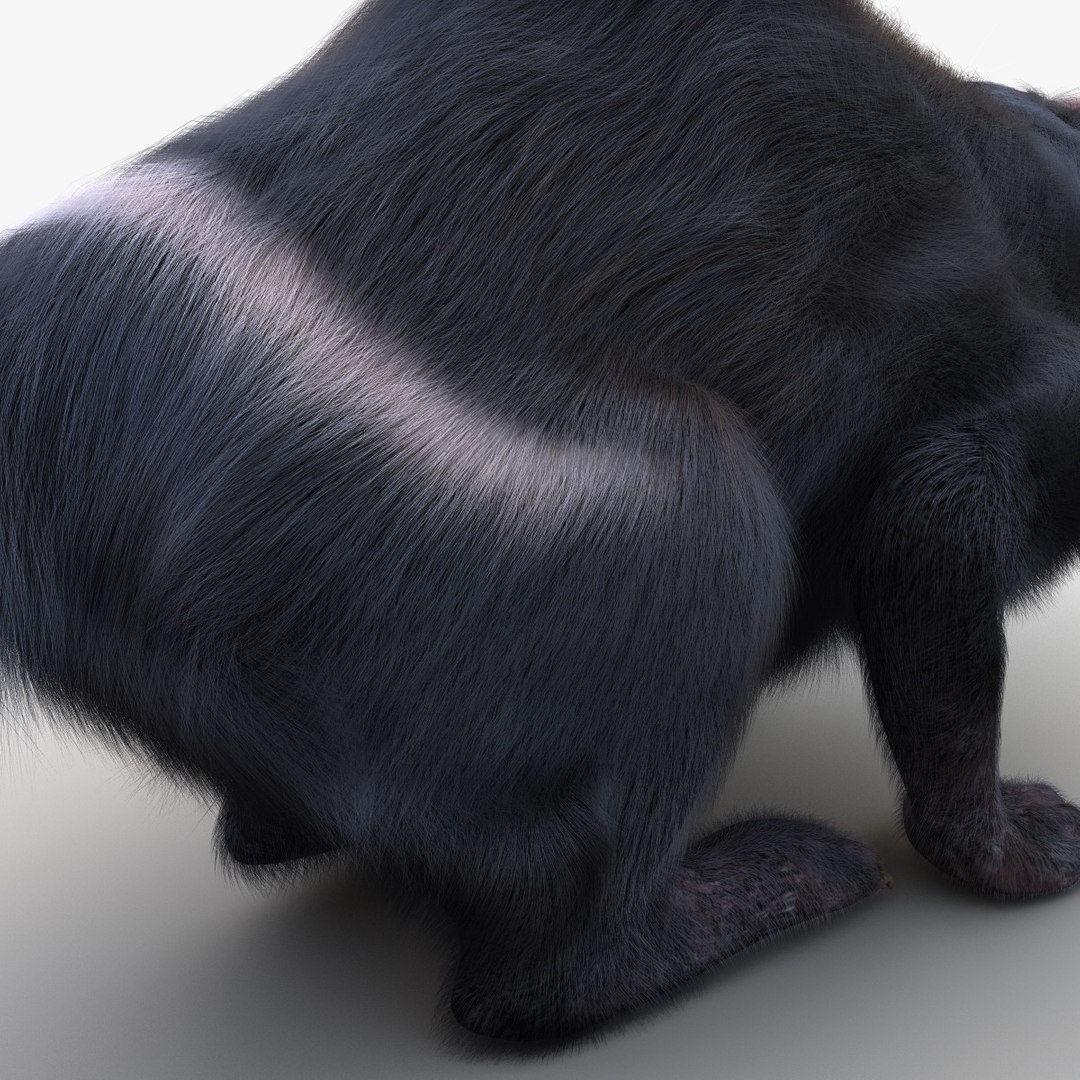 3d model tasmanian devil fur pose https://p.turbosquid.com/ts-thumb/ss/FOXsvV/Onf477gA/tasmaniandevilfurpose3_20/jpg/1384551865/1920x1080/fit_q87/9c25115a7bd684d3d400f90dc3ae4479d7cf74d9/tasmaniandevilfurpose3_20.jpg