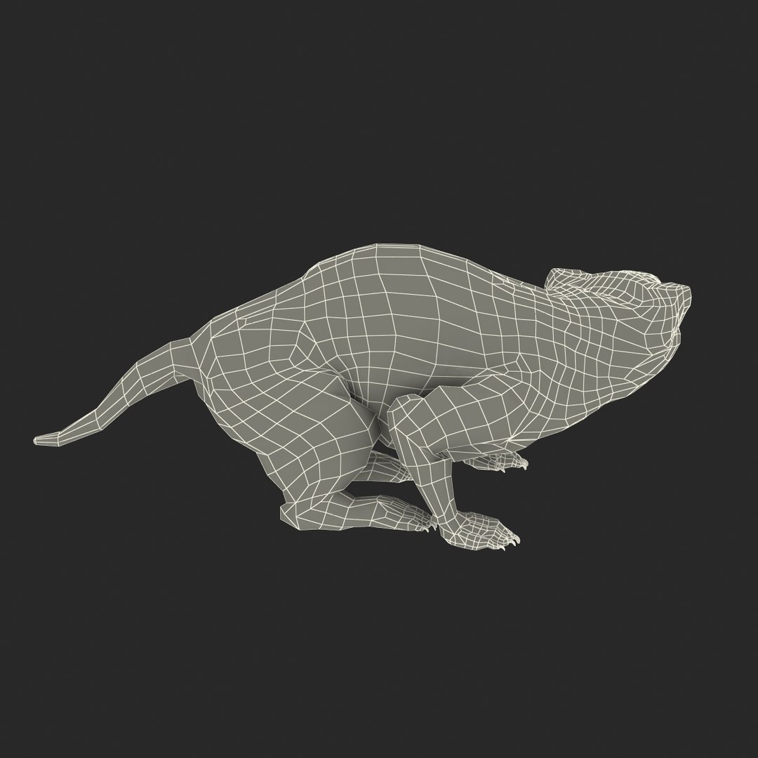 3d model tasmanian devil fur pose https://p.turbosquid.com/ts-thumb/ss/FOXsvV/V5kEY8KR/tasmaniandevilfurpose3_26/jpg/1384551893/1920x1080/fit_q87/16f29aa1cf3c57126f93e3c3e6594bb5df4eace8/tasmaniandevilfurpose3_26.jpg