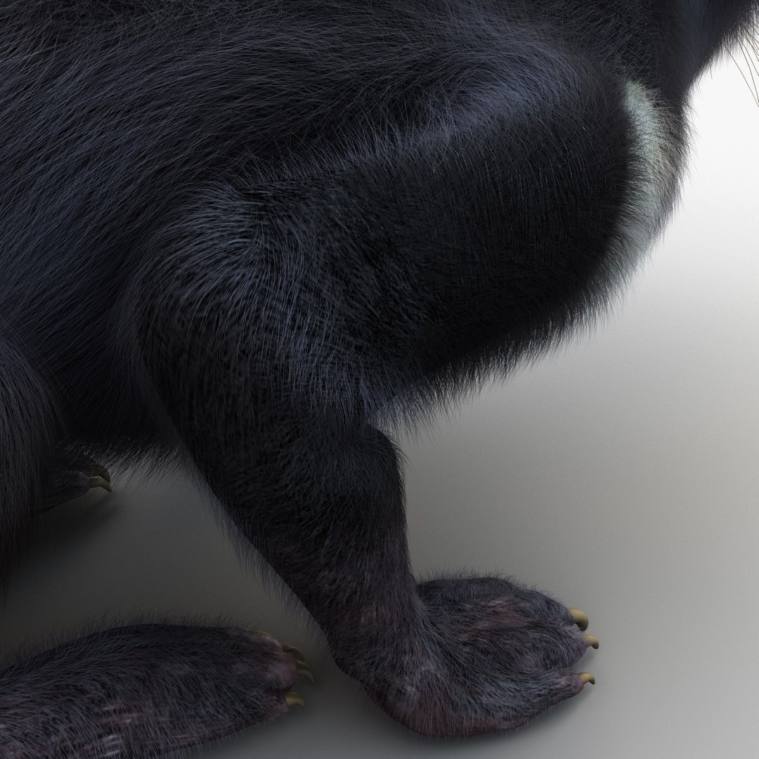 3d model tasmanian devil fur pose https://p.turbosquid.com/ts-thumb/ss/FOXsvV/bfMTkU8p/tasmaniandevilfurpose3_21/jpg/1384551871/1920x1080/fit_q87/39574373717575207d1a007dce46d506883a9830/tasmaniandevilfurpose3_21.jpg