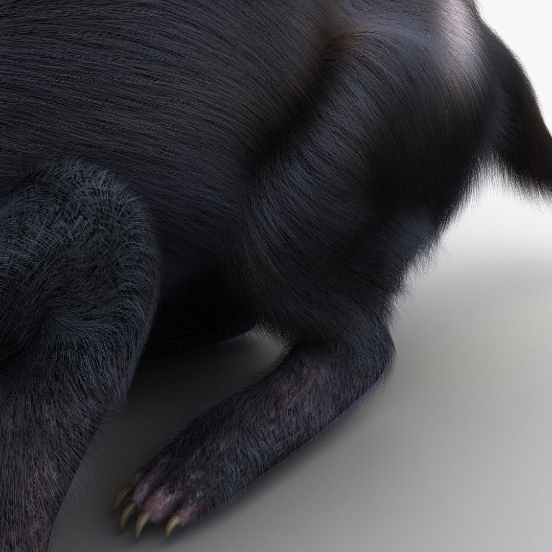 3d model tasmanian devil fur pose https://p.turbosquid.com/ts-thumb/ss/FOXsvV/lBLiKl9A/tasmaniandevilfurpose3_19/jpg/1384551860/1920x1080/fit_q87/9ff4f9054f354e83dc9804986aa33c0b3c9e7dee/tasmaniandevilfurpose3_19.jpg