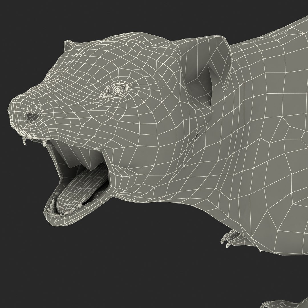 3d model tasmanian devil fur pose https://p.turbosquid.com/ts-thumb/ss/FOXsvV/sbf6y1lg/tasmaniandevilfurpose3_30/jpg/1384551911/1920x1080/fit_q87/6fea68d9071d5e0085368e76307e436392ce9b6a/tasmaniandevilfurpose3_30.jpg