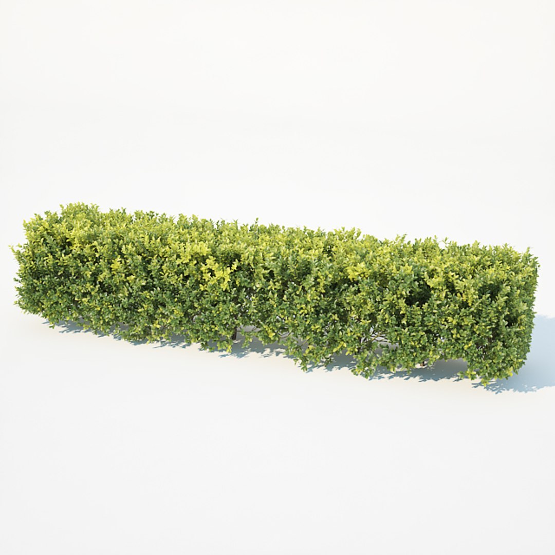 3D model 50cm hedge https://p.turbosquid.com/ts-thumb/ss/aMJO1F/rcOndKA7/buxushedge7/jpg/1535967413/1920x1080/fit_q87/a4ff46a4d8ae8231327dff9f3c01fc6e48676292/buxushedge7.jpg