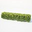 Buxus Sempervirens # 5 seto 50cm