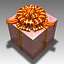 present