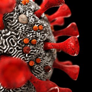 3D model coronavirus sars-cov-2