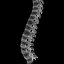 spine anatomy skull spinal column model