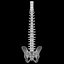 spine anatomy skull spinal column model