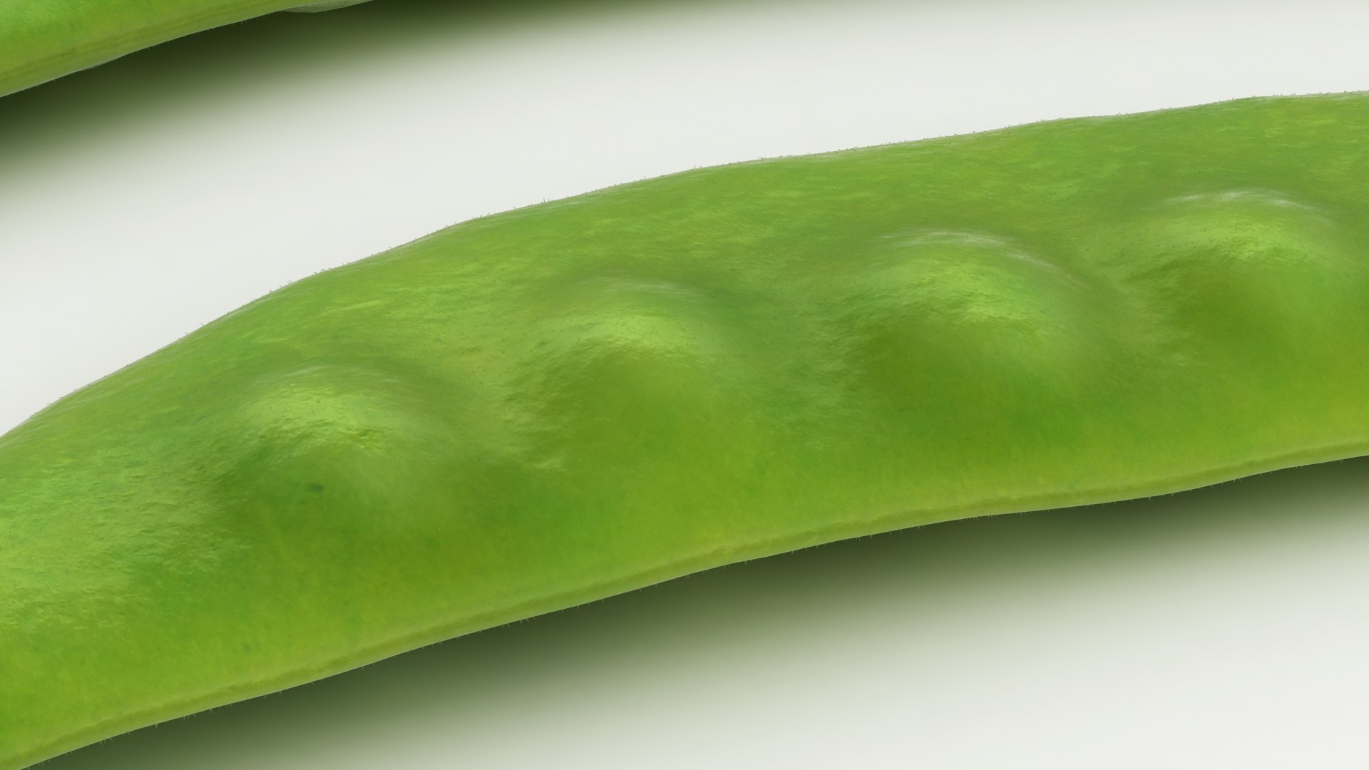 3D snow pea model https://p.turbosquid.com/ts-thumb/st/70WmNl/9grjMGXH/lemon_rr_05/jpg/1606004198/1920x1080/fit_q87/48b16c24bf8cedf98720016255f36bf4958e2841/lemon_rr_05.jpg
