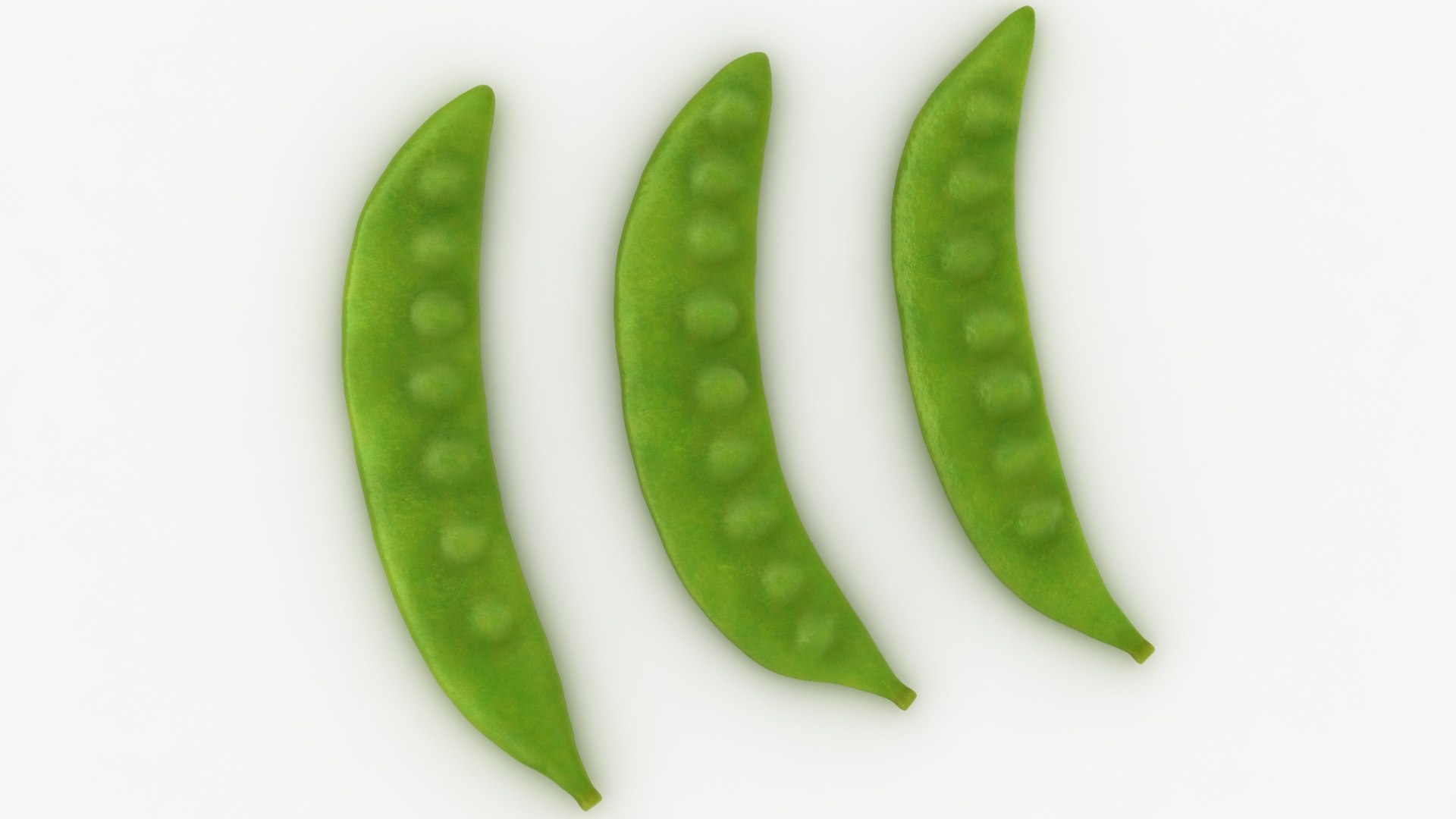 3D snow pea model https://p.turbosquid.com/ts-thumb/st/70WmNl/aLUBJTjs/lemon_rr_13/jpg/1606004200/1920x1080/fit_q87/16e1cbffe8bfb0edd49d4ad7b01c67359ff293fb/lemon_rr_13.jpg