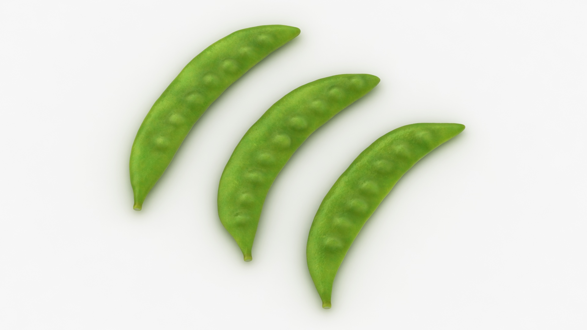 3D snow pea model https://p.turbosquid.com/ts-thumb/st/70WmNl/dKW0lRal/snow/jpg/1606059886/1920x1080/turn_fit_q99/f342d9b4930892daf3dedf7809039fffacf0fa42/snow-1.jpg