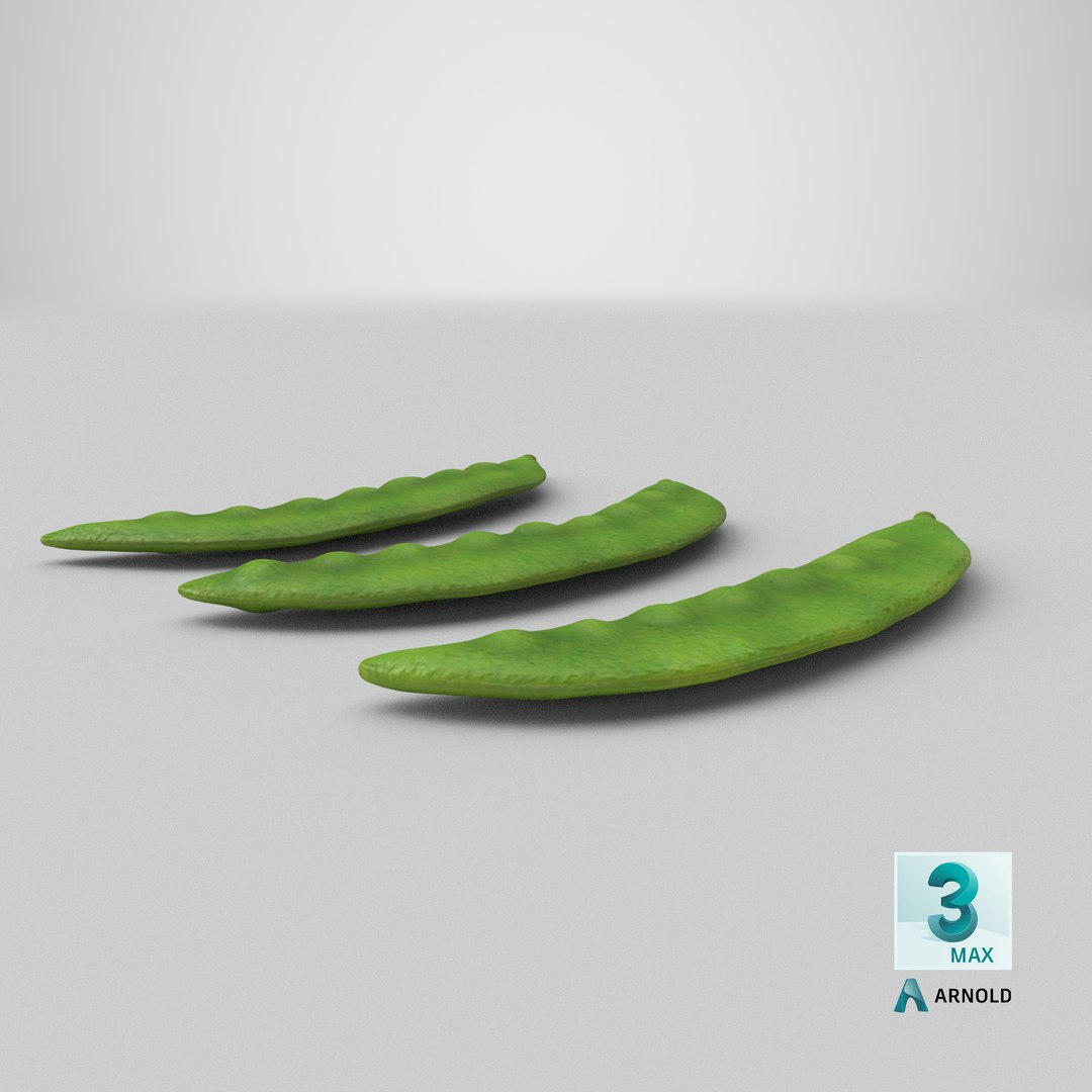 3D snow pea model https://p.turbosquid.com/ts-thumb/st/70WmNl/tKKaPwqY/stemcell_max_arnold_render/png/1607538378/1920x1080/fit_q87/19ec4b2b19f8c10b21c465bd7ca5106c5f6d2dcf/stemcell_max_arnold_render.jpg