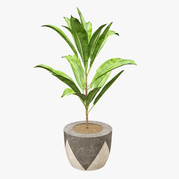 3D plant artificial