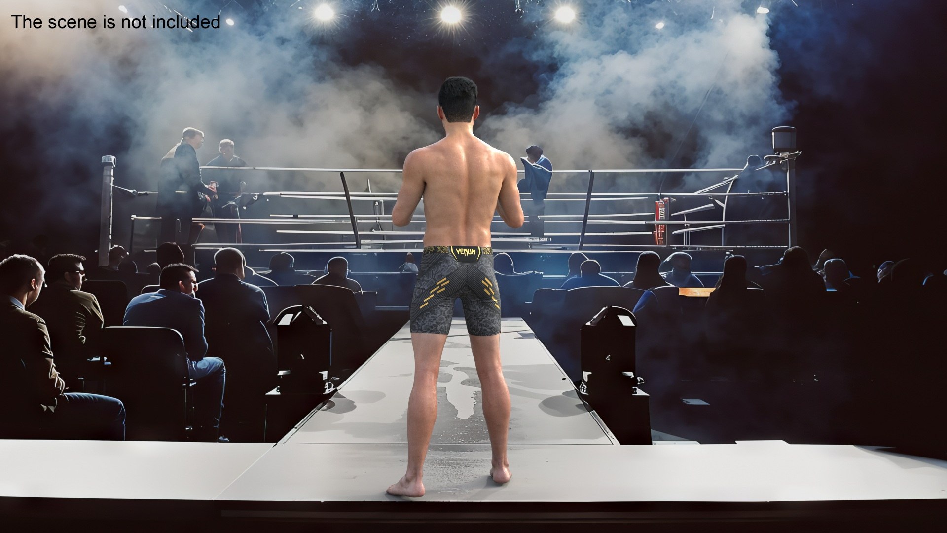 Fighter UFC MMA In Combat Stance Sweaty Fur 3D Model - TurboSquid 2334103