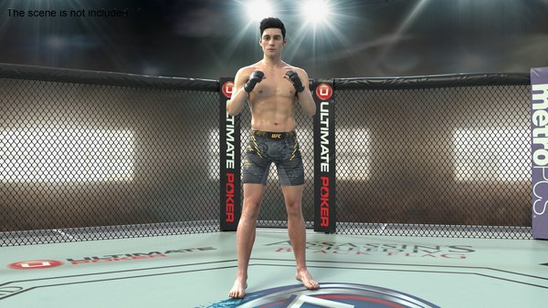modelo 3d Luchador de UFC MMA en posición de combate con pelaje ...