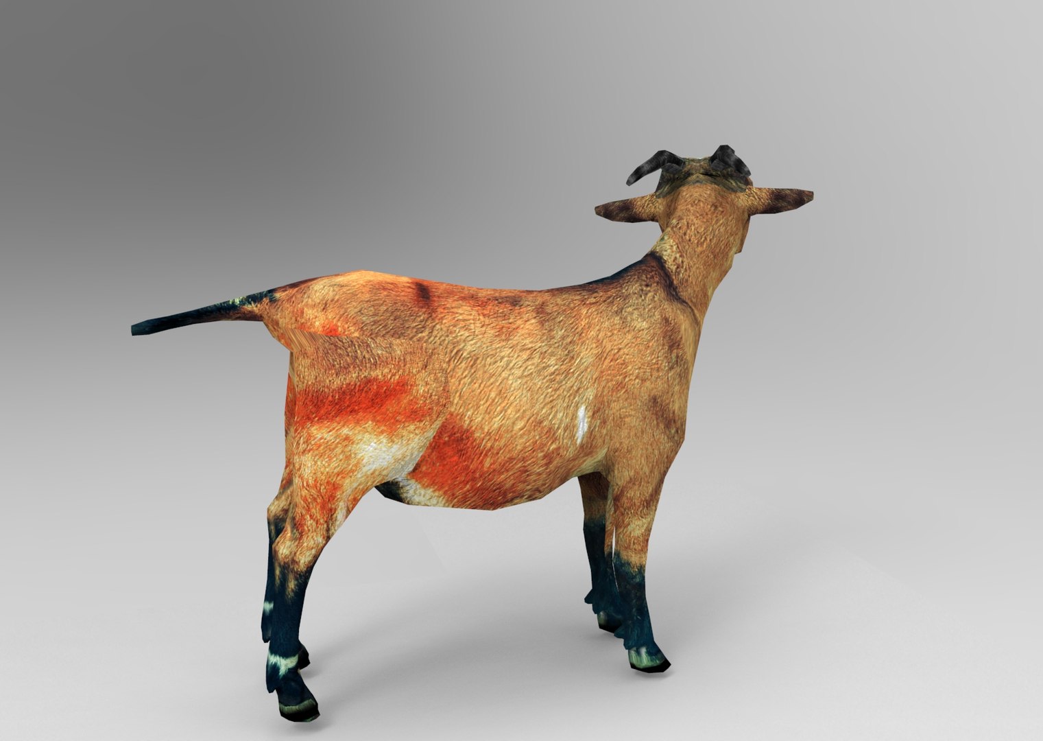 max goat rigged