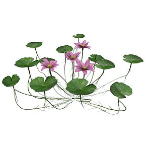 Lotus Flower - 01 - 3D model