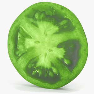 3D model Green Tomato Slice