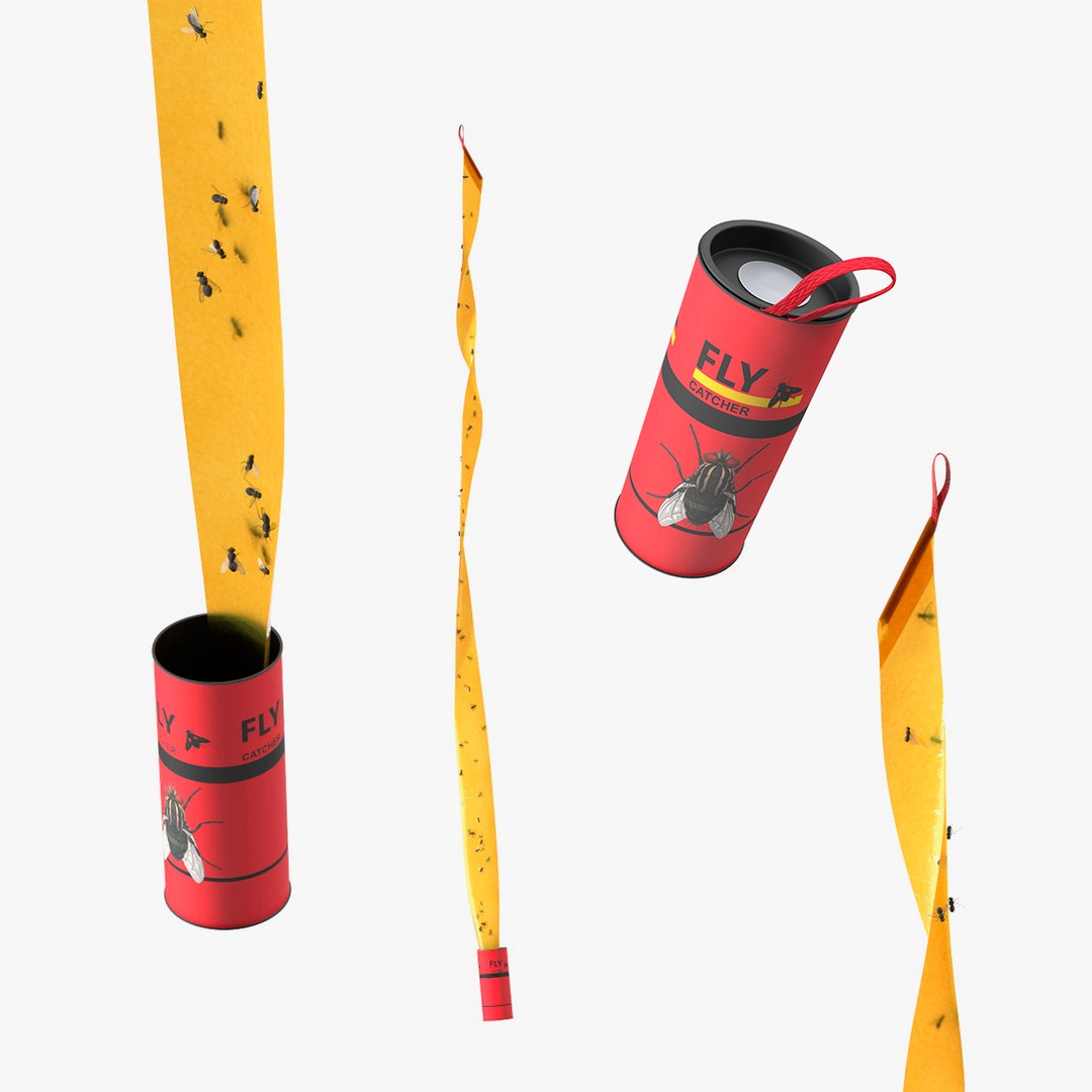 3D Fly Strips Catchers Closed and Opened Collection model https://p.turbosquid.com/ts-thumb/st/bxylnz/HN/flystripscatchersclosedandopenedcollection3dmodel000/jpg/1693426556/1920x1080/fit_q87/0974453a6440403c142e6e968e0d2b342eeaa0fc/flystripscatchersclosedandopenedcollection3dmodel000.jpg