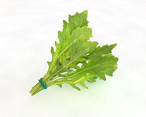 Arugula