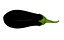 Eggplant