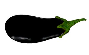 eggplant food 3D model