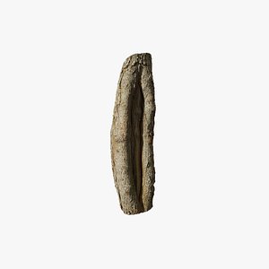 Anydrafts Acer saccharum Burl 01 3D model