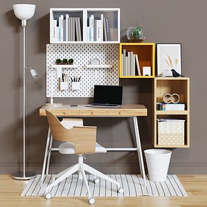 3D Workplace set with decor IKEA  Sk 3 model